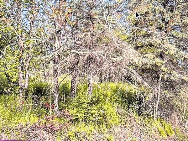 49659 Fairchild Road , Macomb Township, Mi 48042