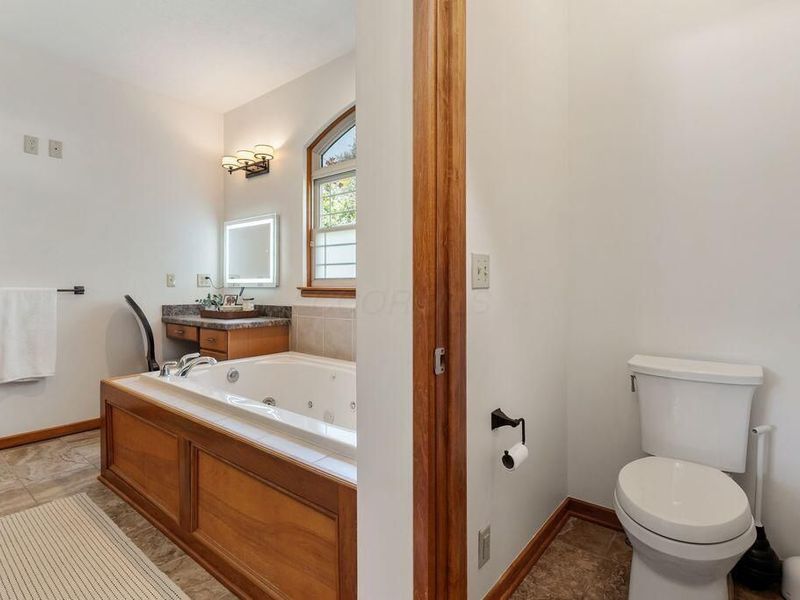 39 W Hiawatha Drive, Powell, OH 43065 Photo 33