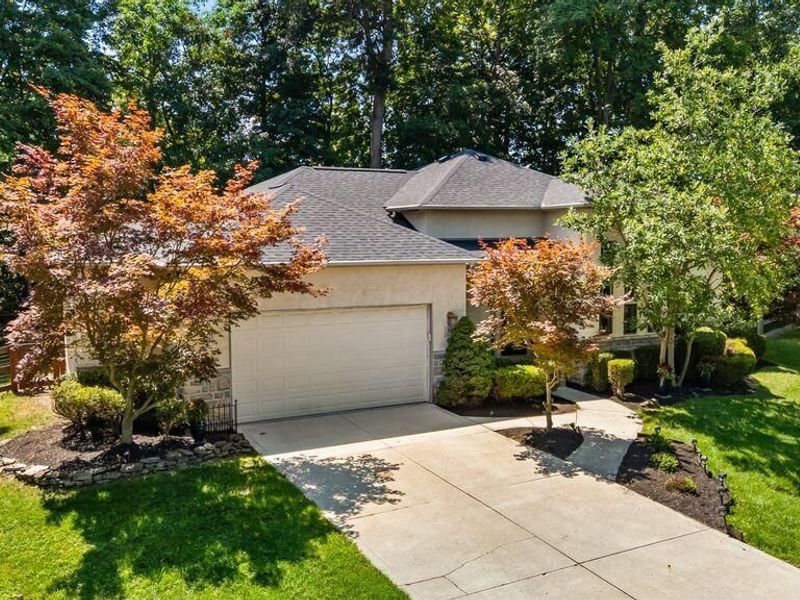 39 W Hiawatha Drive, Powell, OH 43065 Photo 8