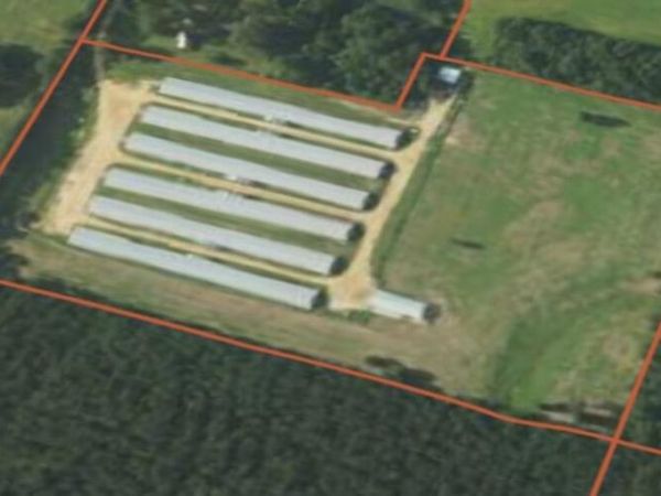 28 Snow's Ln., Collins, MS 39428