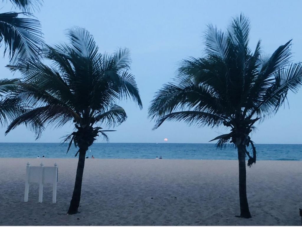 111 Briny Avenue, Unit 22-09, Pompano Beach, FL 33062 Photo