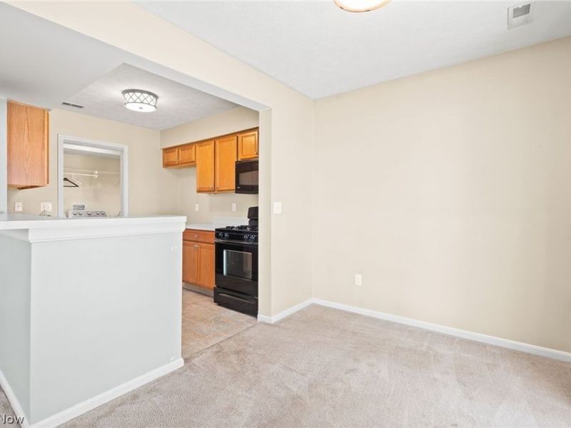 2806 Canvasback Circle, Akron, OH 44319 Photo 13