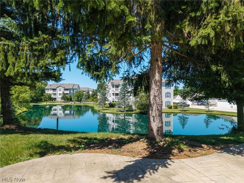 2806 Canvasback Circle, Akron, OH 44319 Photo 4