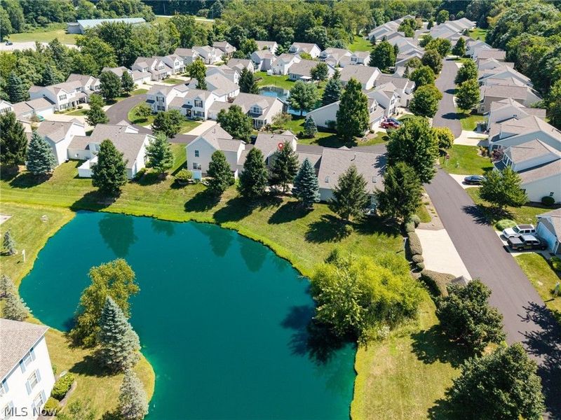 2806 Canvasback Circle, Akron, OH 44319 Photo 8