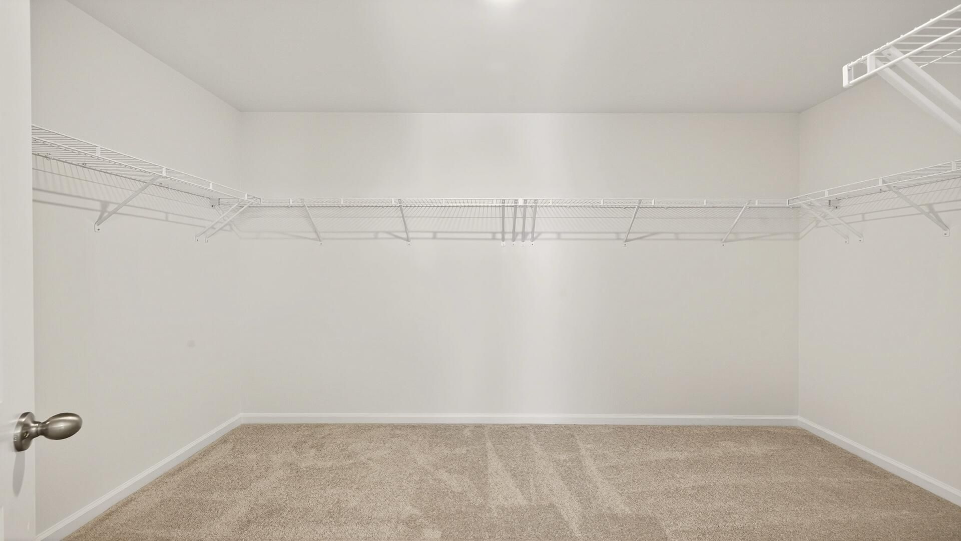 442 Cadbury Loop Photo 18