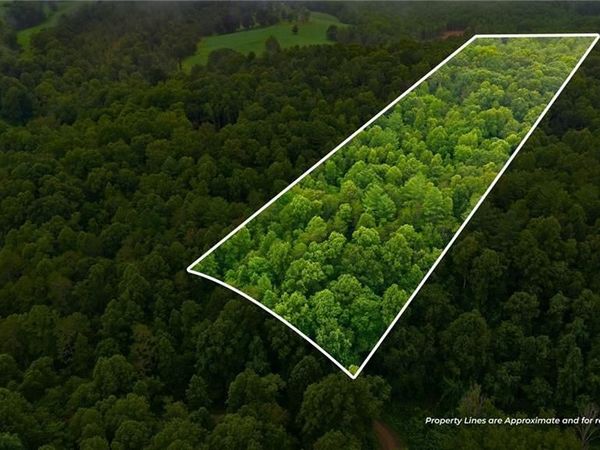 000 Brewer Mill Road Extension , Traphill, NC 28685