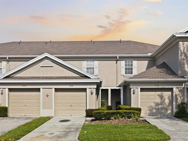 4132 BISMARCK PALM DRIVE , TAMPA, FL 33610