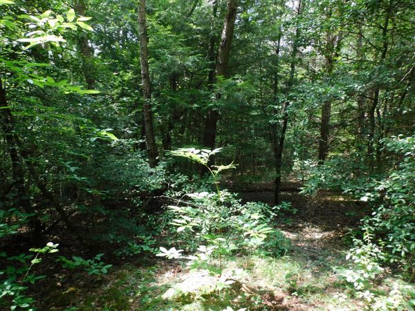 0 Old Highway 56 , Coalmont, TN 37313