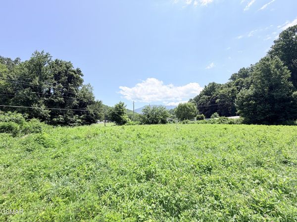 197 Tennessee 32 , Cosby, TN 37722