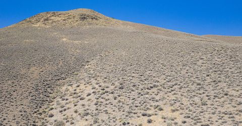 2919 Hwy 208, Wellington, NV 89444 Photo