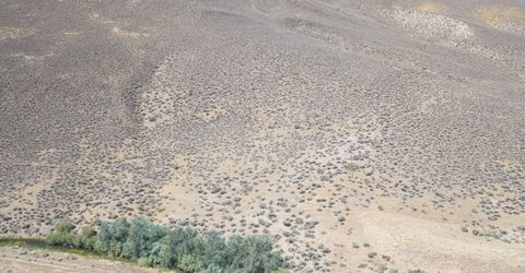 2919 Hwy 208, Wellington, NV 89444 Photo