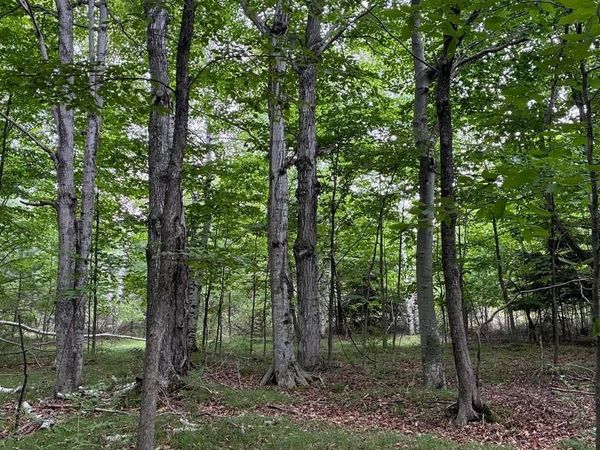 AIRPORT ROAD, Washington Island, WI 54246