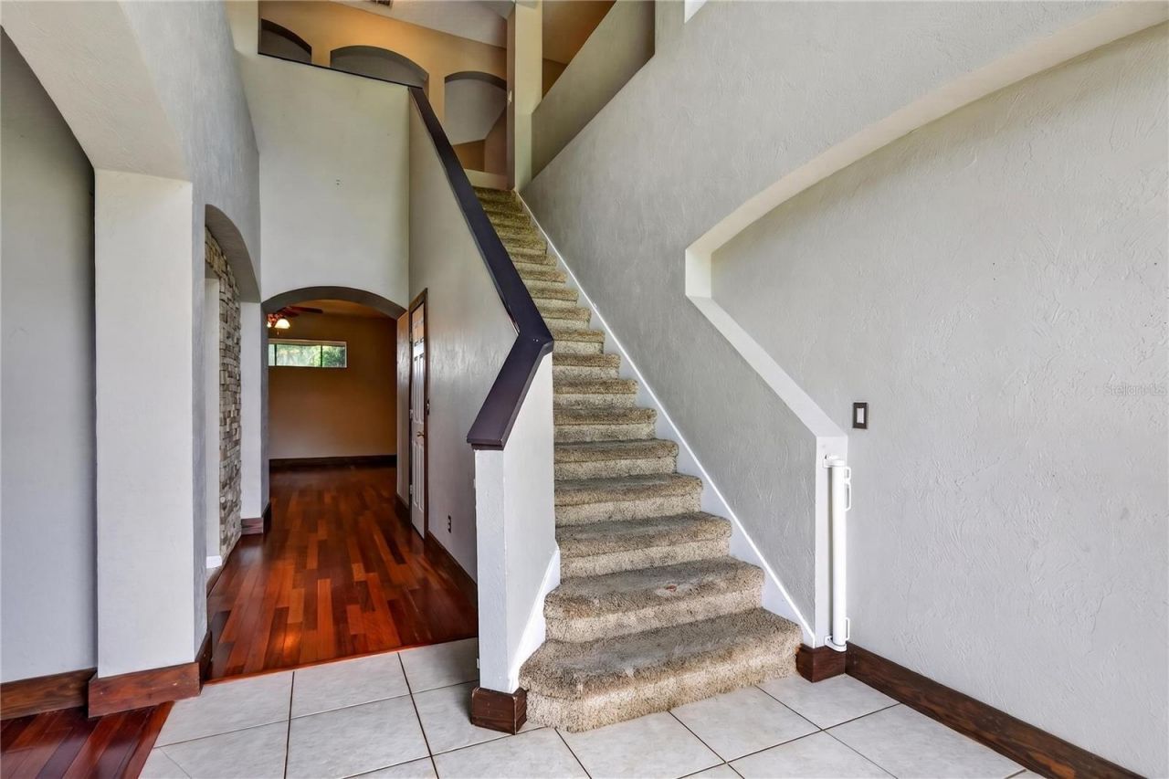 7314 Spring Mountain Lane, Yalaha, FL 34797 Photo