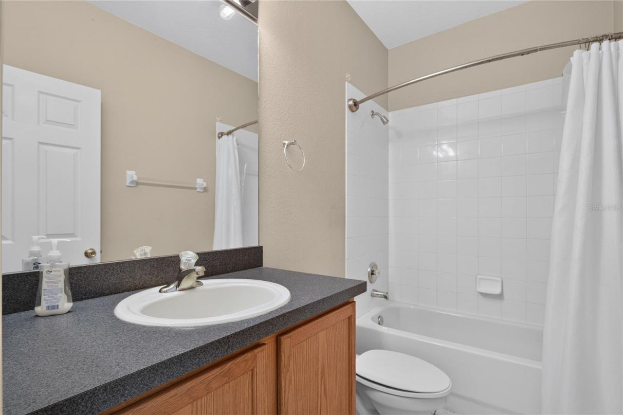 7314 Spring Mountain Lane, Yalaha, FL 34797 Photo