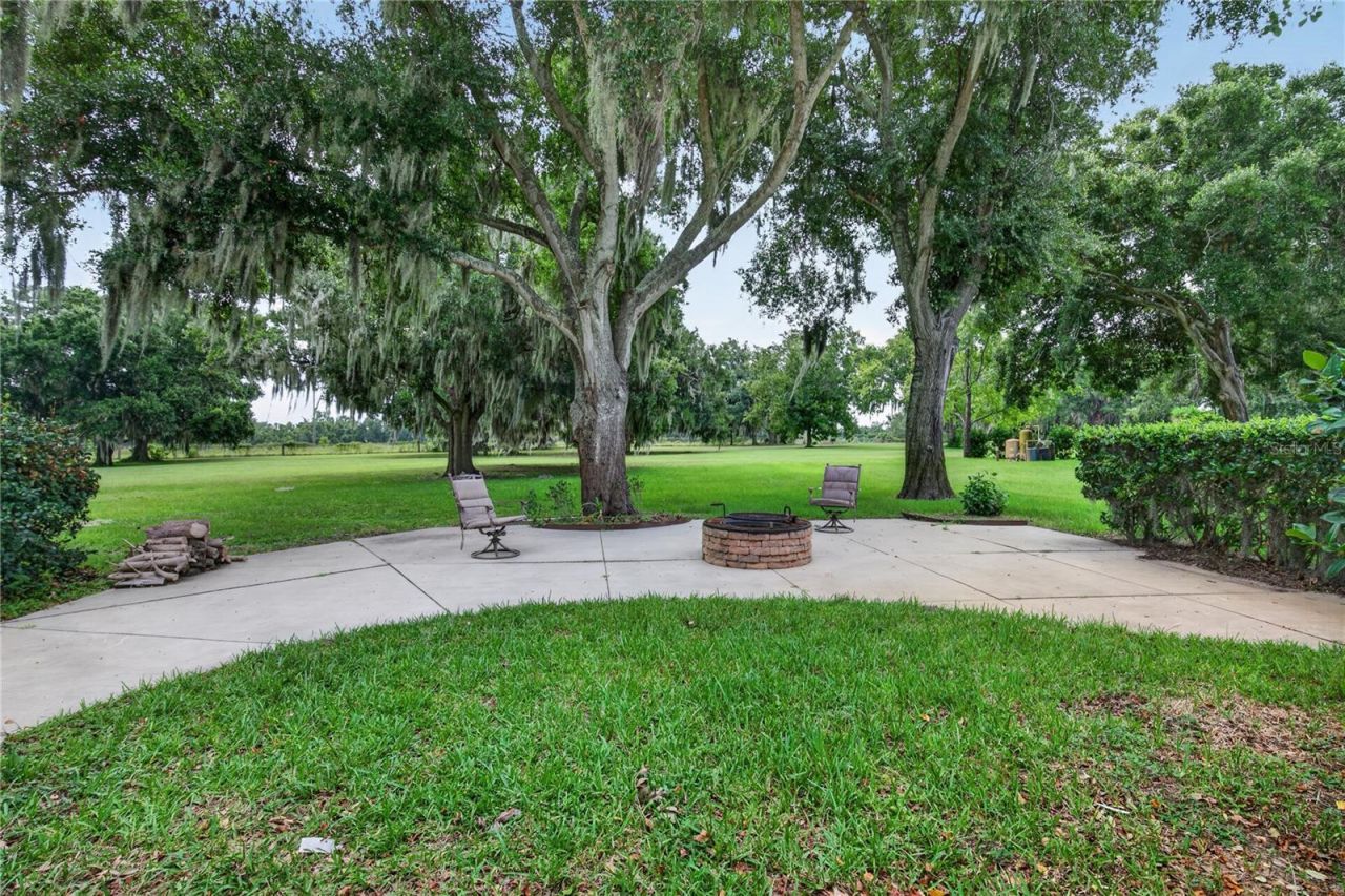 7314 Spring Mountain Lane, Yalaha, FL 34797 Photo