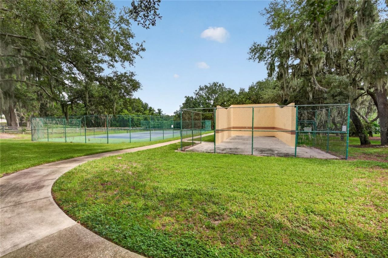 7314 Spring Mountain Lane, Yalaha, FL 34797 Photo