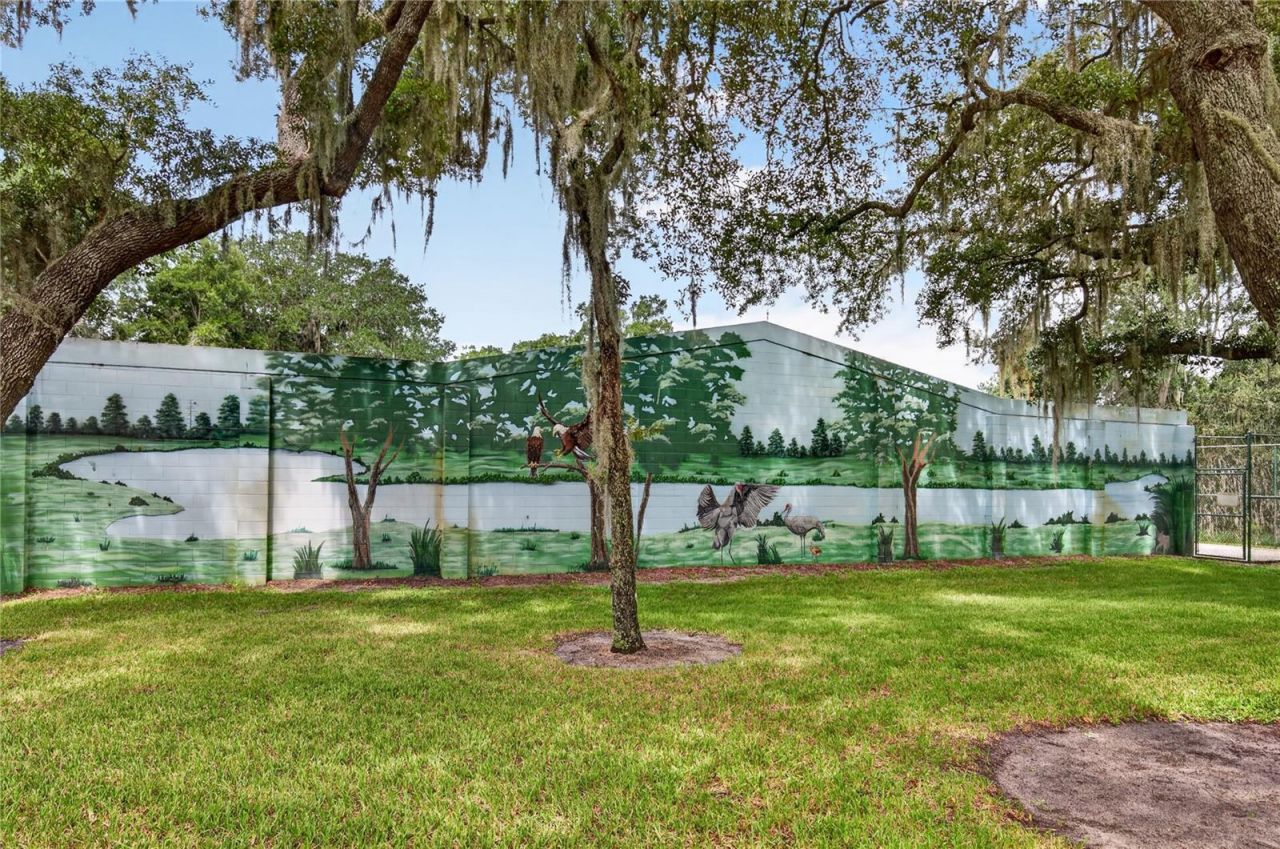 7314 Spring Mountain Lane, Yalaha, FL 34797 Photo