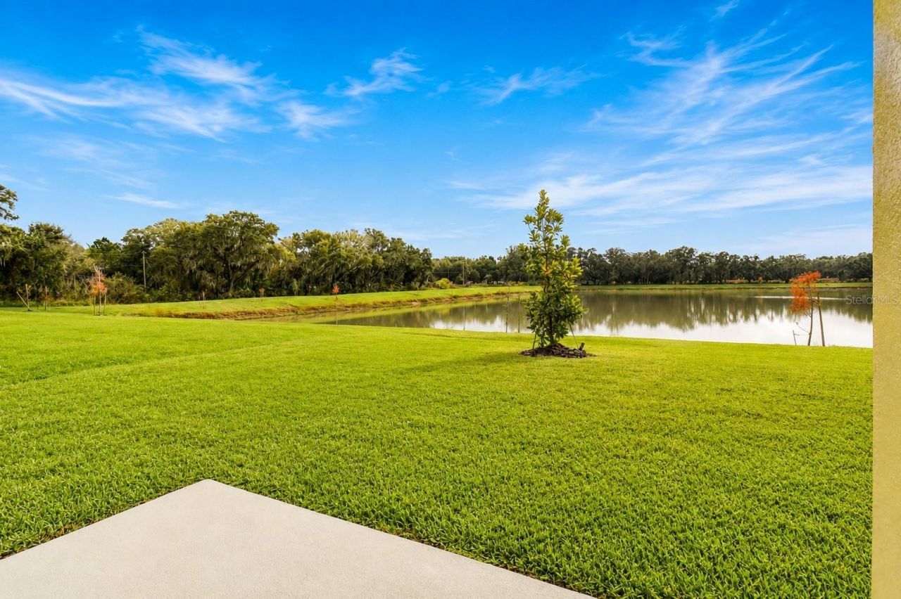 38190 Shale Stone Court, Zephyrhills, FL 33540 Photo