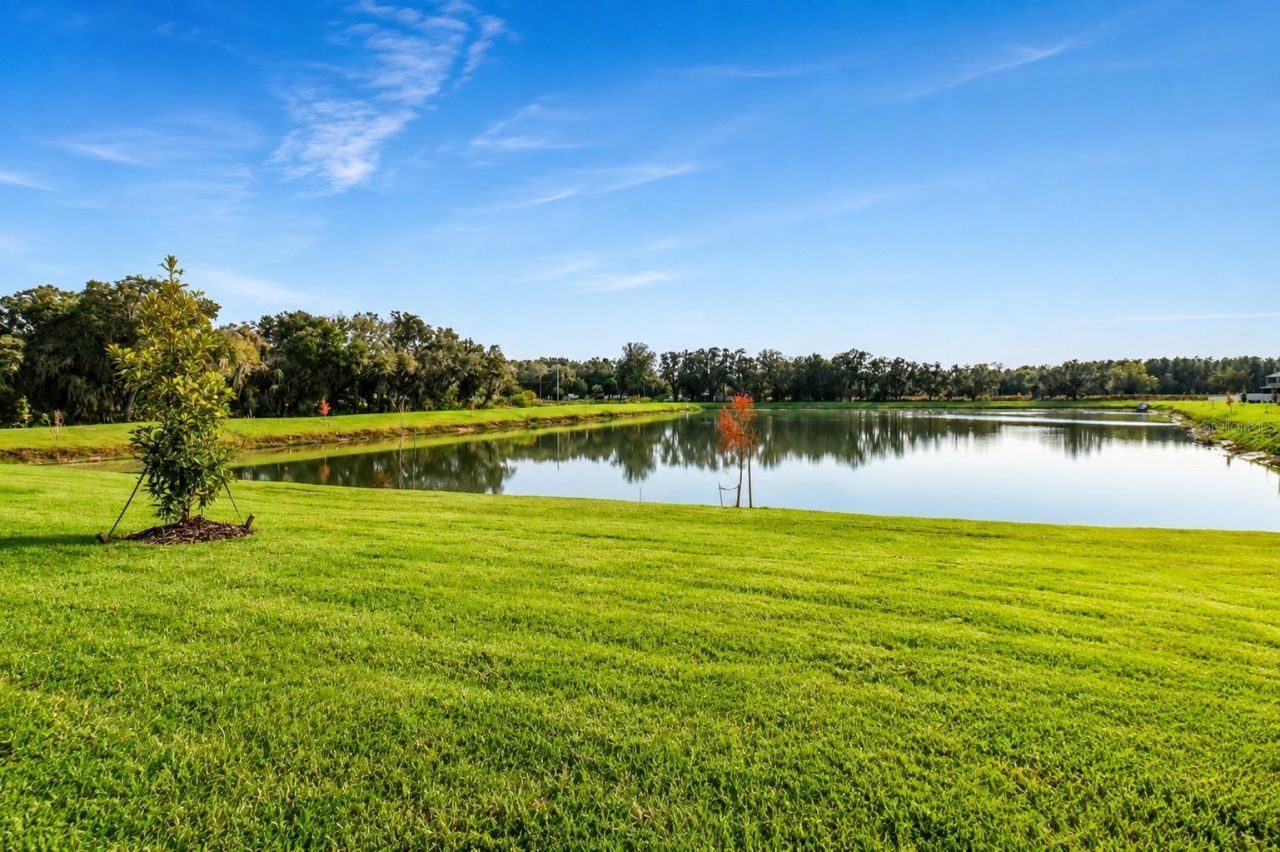 38190 Shale Stone Court, Zephyrhills, FL 33540 Photo