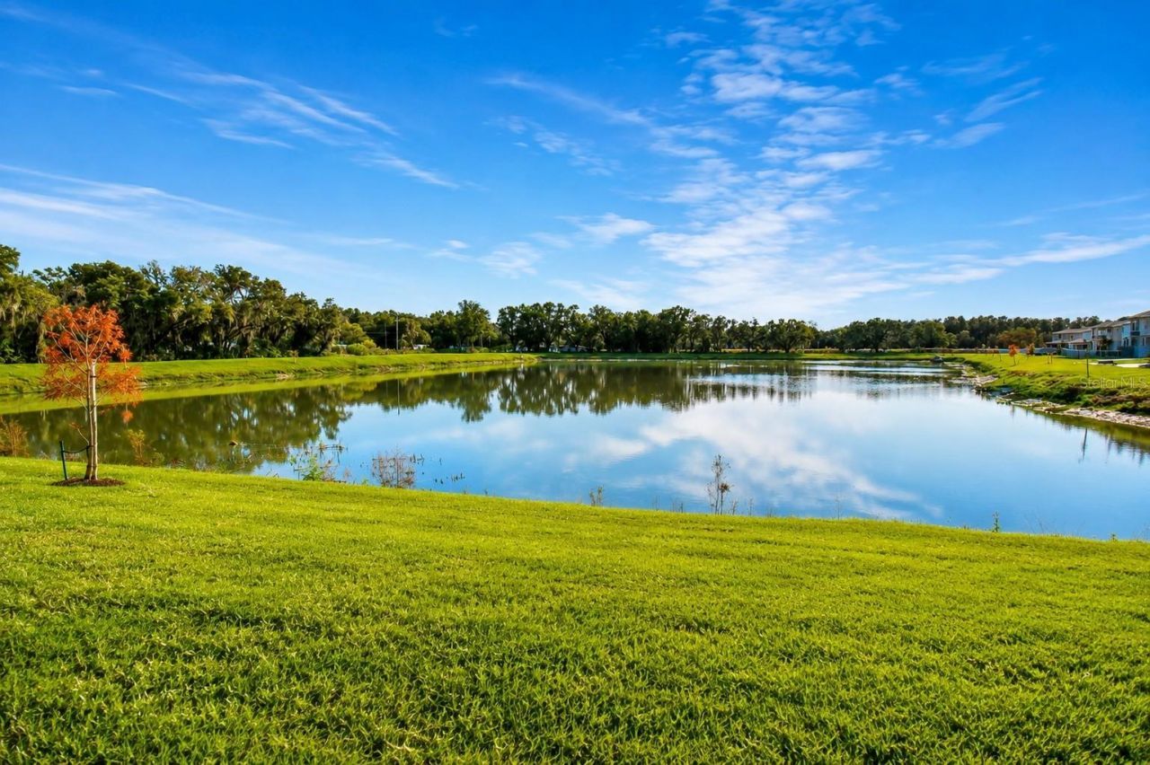 38190 Shale Stone Court, Zephyrhills, FL 33540 Photo
