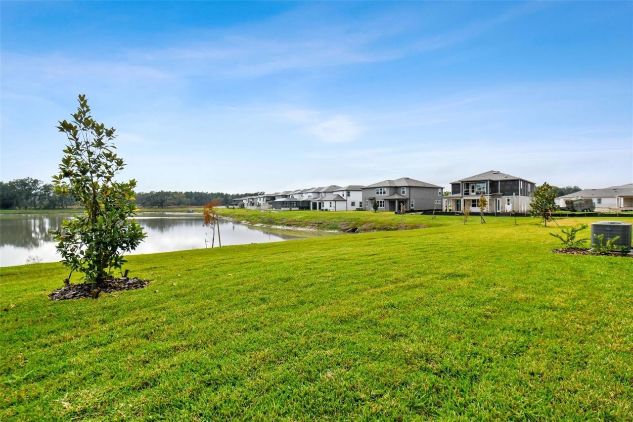 38190 Shale Stone Court, Zephyrhills, FL 33540 Photo