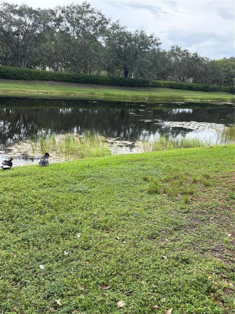 2578 Cordoba Bnd , Unit 2578, Weston, FL 33327 Photo