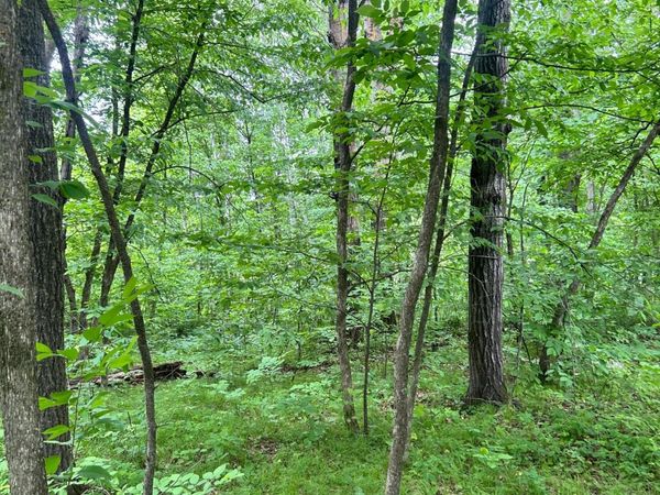 TBD Flintstone Road , Cushing, MN 56443
