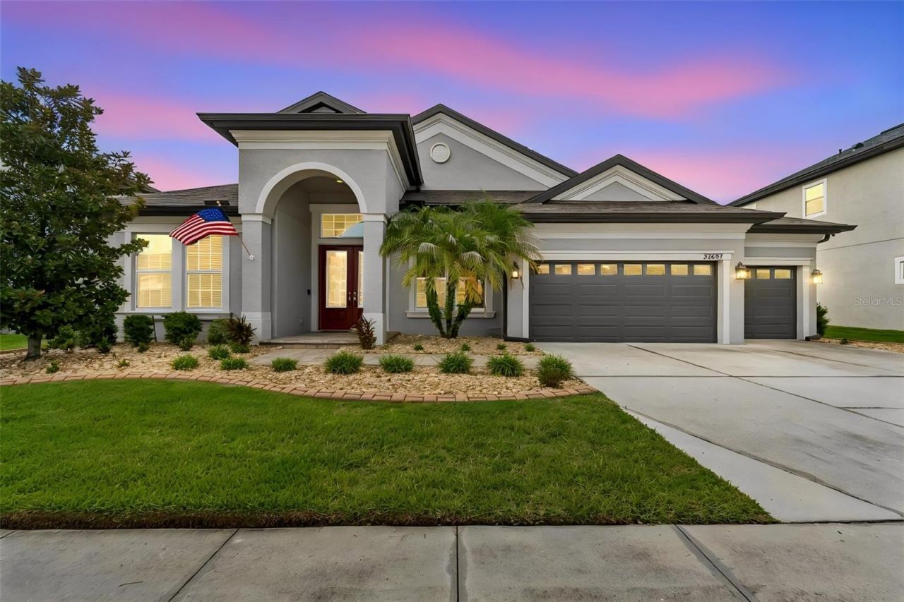 32697 Natural Bridge Road, Wesley Chapel, FL 33543 Main Photo
