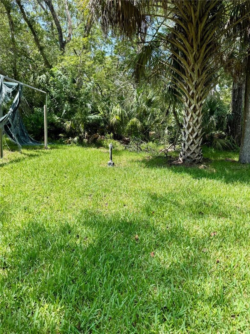 3405 Fremont Lane, Spring Hill, FL 34607 Photo