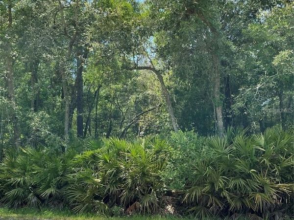 118 TERRACE , OCALA, FL 34482