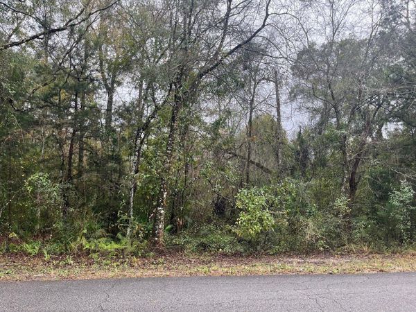 NW 17 PLACE , OCALA, FL 34482