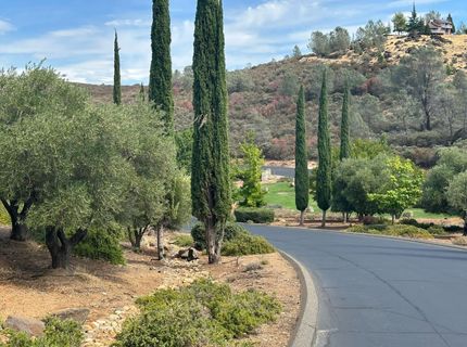 7828 Watermark Pl, El Dorado Hills, CA 95762 Photo