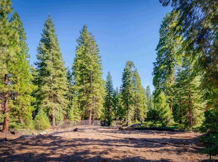 6458 Donner Road , Tahoe Vista, CA 96148 Photo
