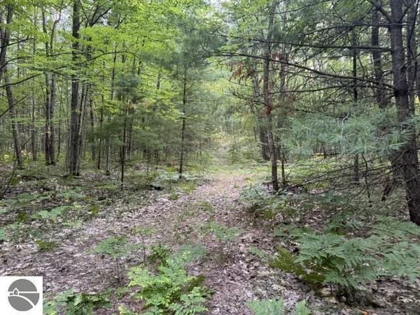 Gaukel Road, Lake City, MI 49651