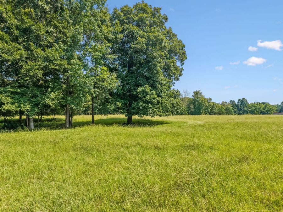 Property Image 66