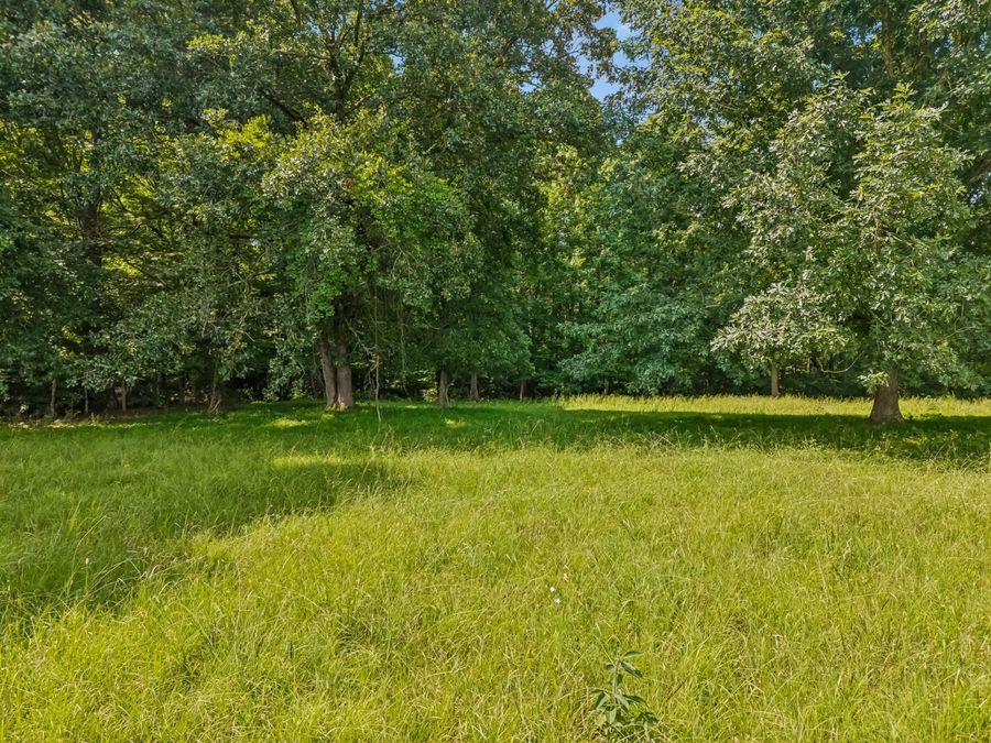 Property Image 68