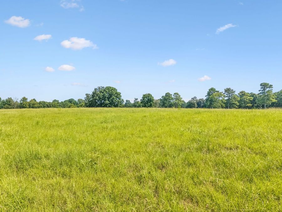 Property Image 69