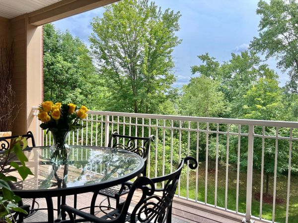 408 Parkers Lake Road, Unit 206, Wayzata, MN 55391
