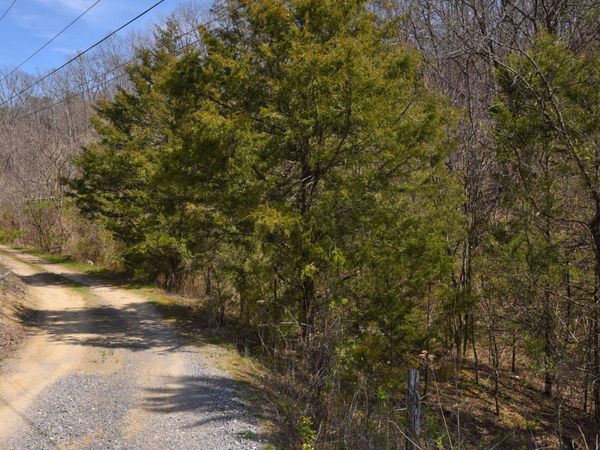 912 Cooley King Road , Unit 92L/38, Kodak, TN 37764