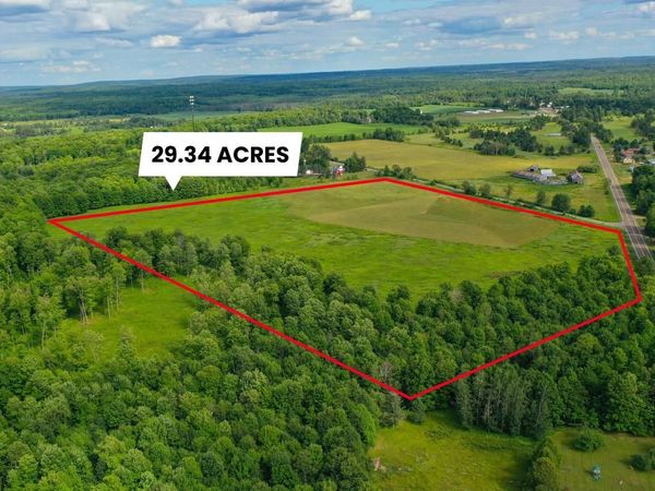 29.34 ACRES STATE HIGHWAY 55, Pickerel, WI 54465