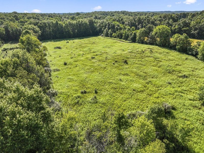 1933 County Road 194, Fredericktown, OH 43019 Photo 11