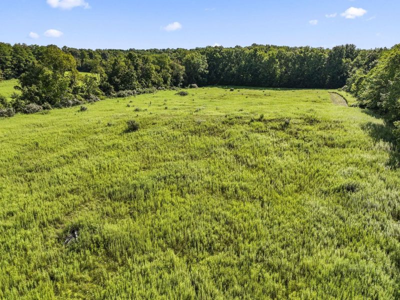 1933 County Road 194, Fredericktown, OH 43019 Photo 15