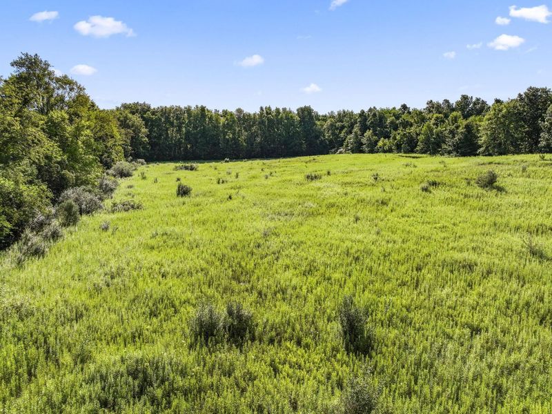 1933 County Road 194, Fredericktown, OH 43019 Photo 16