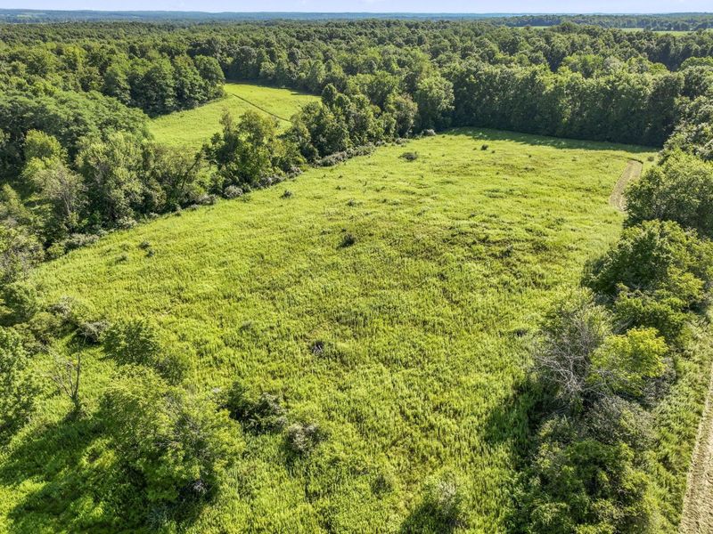 1933 County Road 194, Fredericktown, OH 43019 Photo 30