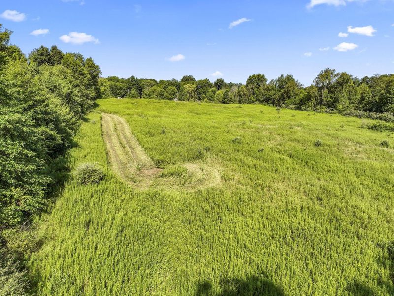 1933 County Road 194, Fredericktown, OH 43019 Photo 35