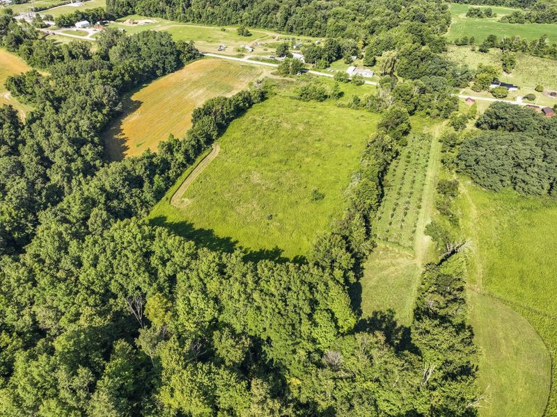 1933 County Road 194, Fredericktown, OH 43019 Photo 4