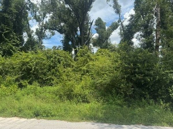 LOT 3 237TH COURT, Dowling Park, FL 32060