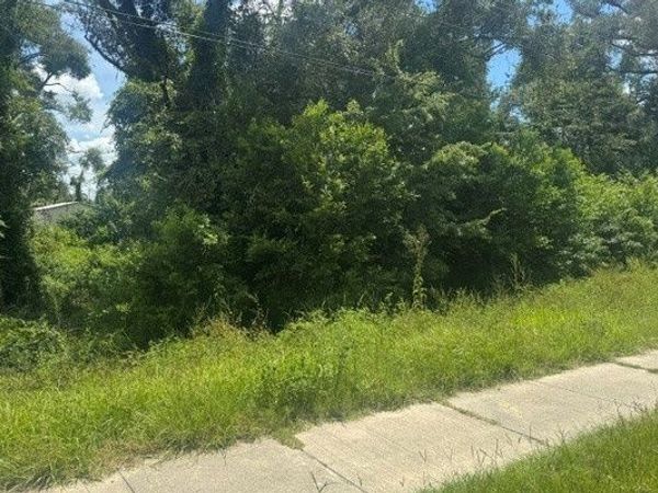 LOTS 5-6 CR 250, Dowling Park, FL 32060