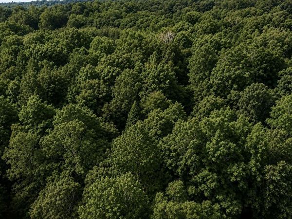 006 Libby Circle Lot 6 , Lexington, TN 38351