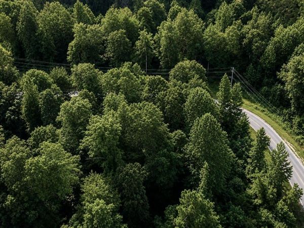 010 Libby Circle Lot 10 , Lexington, TN 38351